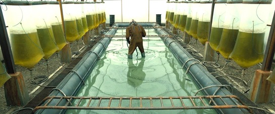 imagepickerDAB3B888-BE01-42B4-9715-DF042CB26A74-33413-00001BB64A6A7155