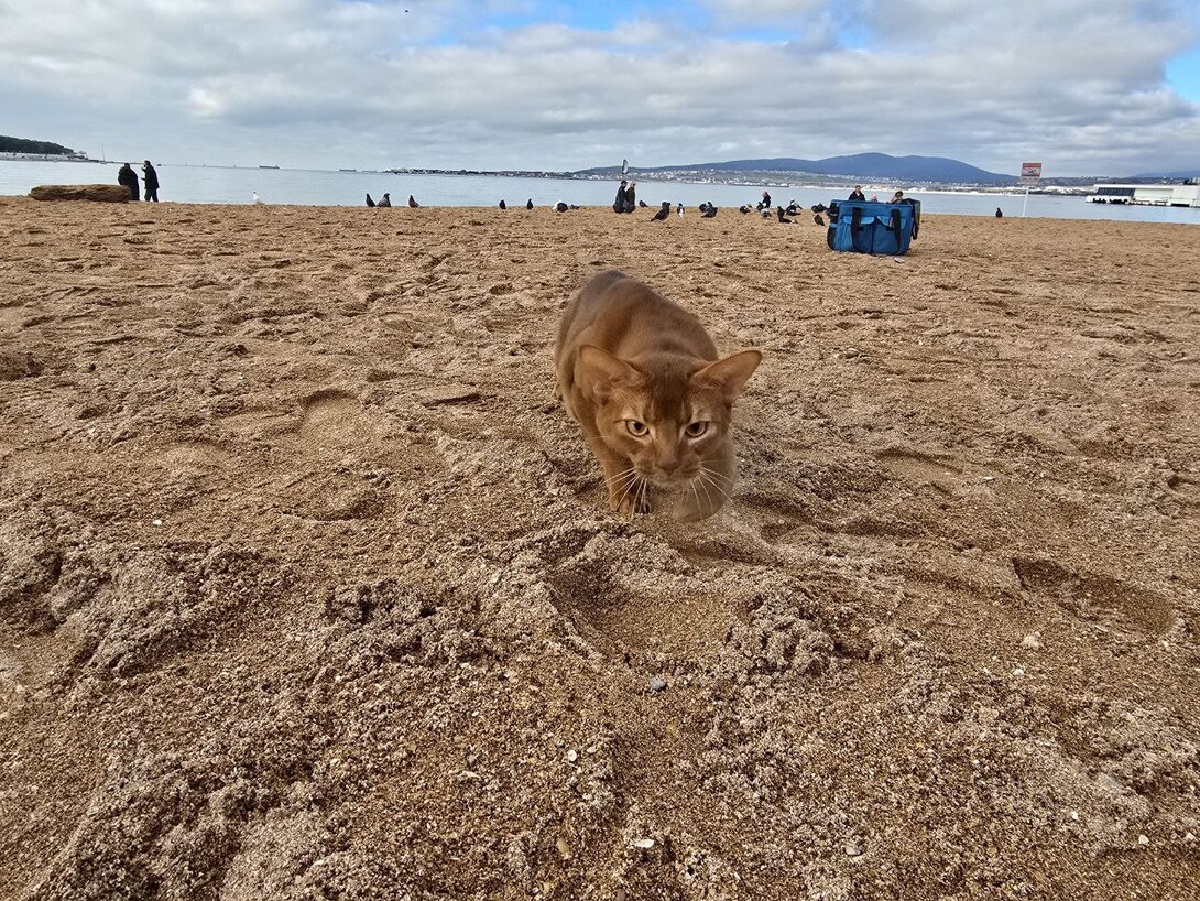 photo2026-02-0813-45-25