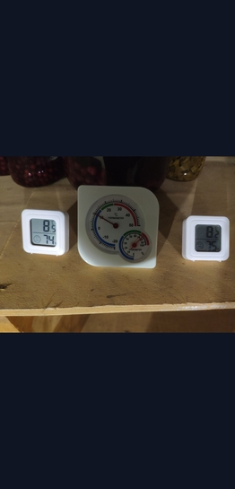 Screenshot2026-02-25-19-11-52-792ru.mail.cloud