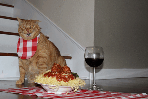 pastacat48-pasta
