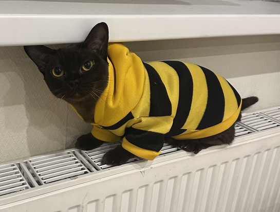 imagepicker4C788159-02D4-43C6-A7D0-33AB51FDDCBB-21664-000027F1537B282A