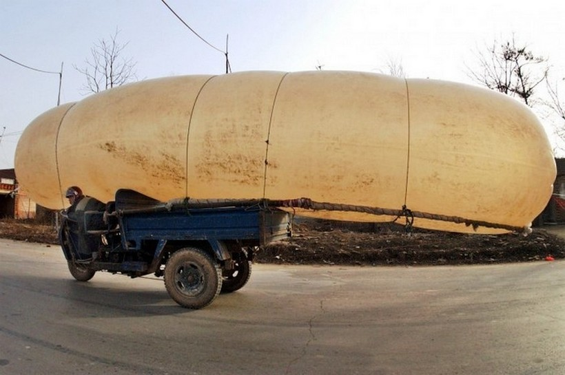 Screenshot2026-03-23at03-19-37282JPEG820545