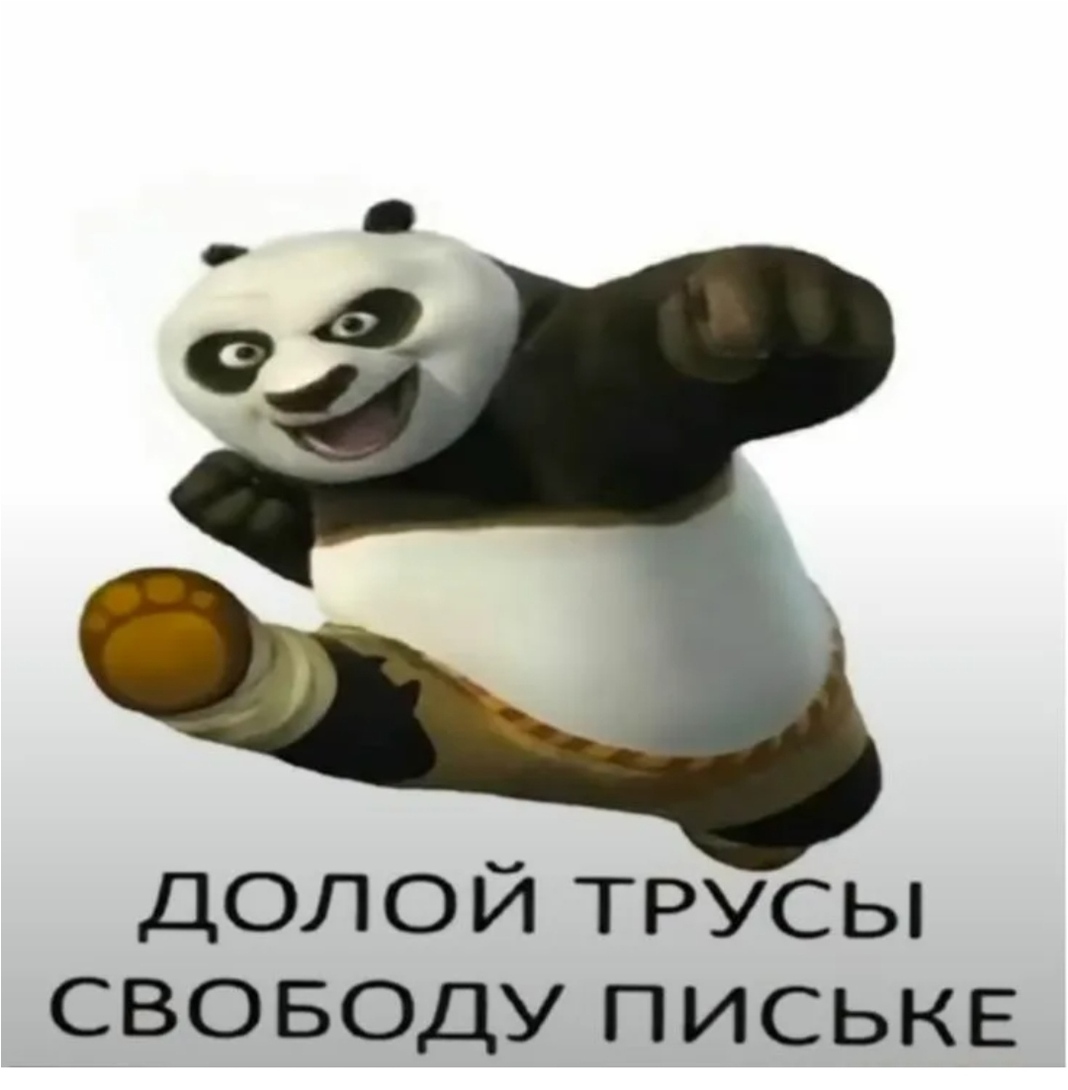 8851