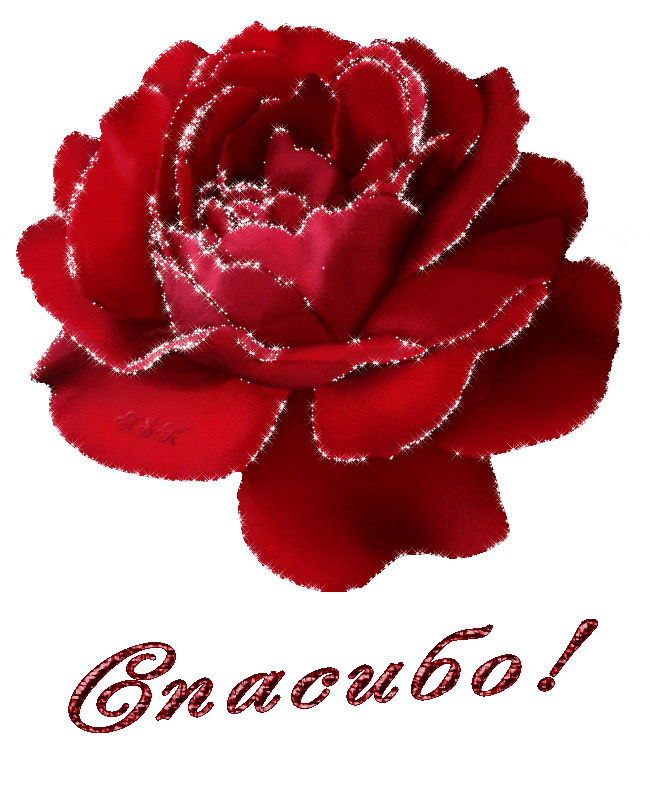 23fa610e299634bf83b7aa7259tw