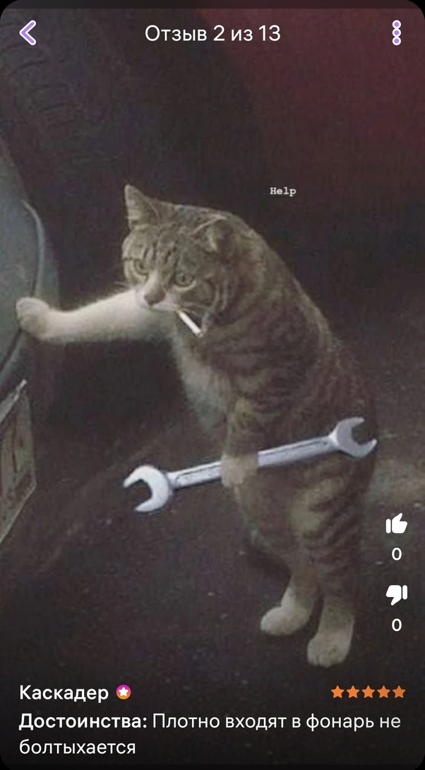 1000094135