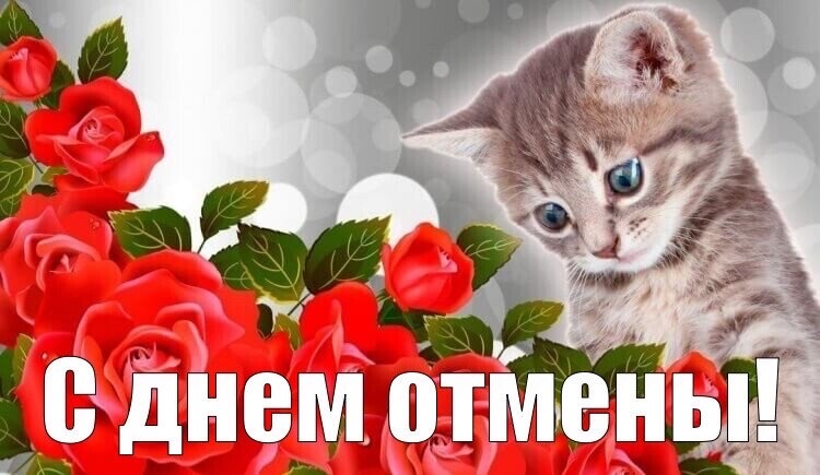 imagepicker54A63631-BB11-4F77-97AD-E70BA750D967-3740-000001B4BEA8F6AE