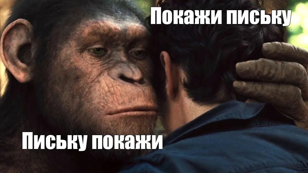 17536