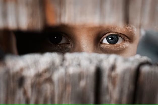 boy-looks-through-gap-fence96649-124