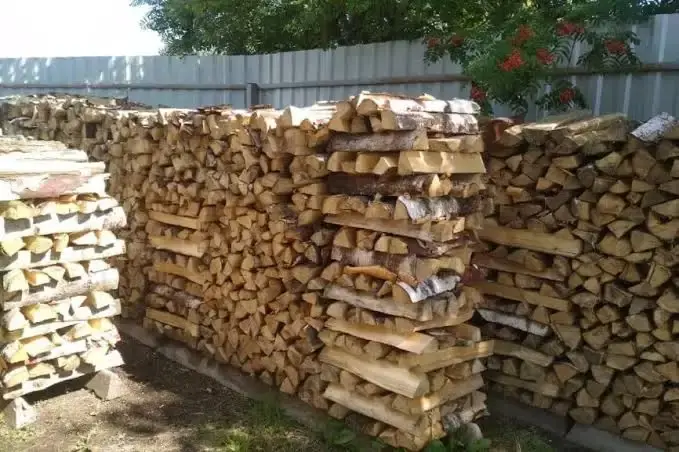 1000028323