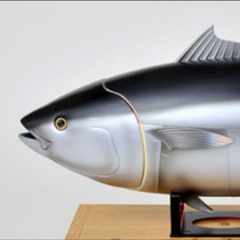 мистер_Тунец