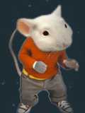 Vasilko