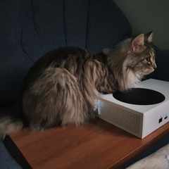 Вячеслав-Вячеславович