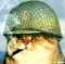 user_photo