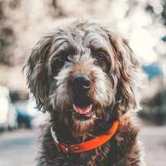 Кирилл_Иванов123