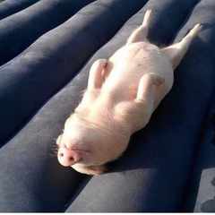 ВечноВминусе