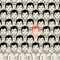 user_photo