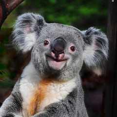 КоалаЛумпур