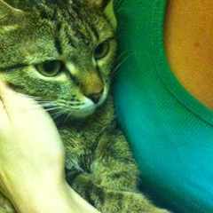 Екатерина_iaq