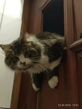 _Mikhail_7