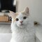 user_photo
