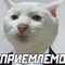 user_photo