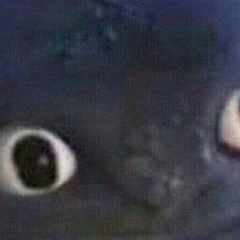 Алёшин_Божидар