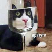 leonov_rs