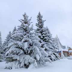 Ольга_Петрова1