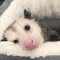 user_photo