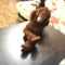 user_photo
