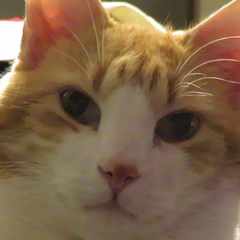 ЕгорВладимирович