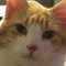 user_photo