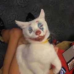 удалено409954