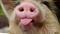 user_photo