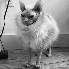 КатенькаКатюша