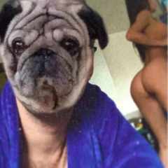 Жить_будем!