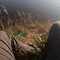 user_photo