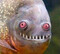 lyaPerdoz