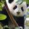 user_photo