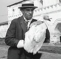panikovskiy