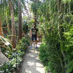 Восстановить