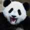 user_photo