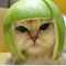 user_photo