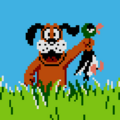 ziggy404