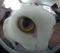 user_photo