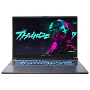 Игровой ноутбук THUNDEROBOT 911Plus (17.3", 2.5K, IPS, 165 Гц, Intel i7-13620H, RAM 16 Гб, SSD 1 Тб, GeForce RTX 4060, Win 11 Pro)