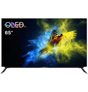 4K Телевизор Grundig 65 OLED GG970B Smart TV (65 ", OLED, 120 Гц) (цена с ozon-картой)