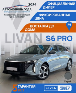 Автомобиль Livan S6 Pro