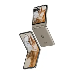 Смартфон Motorola moto razr 50, глобальная прошивка, 8/256 Гб, серый (с Озон картой) + пошлина 3247₽