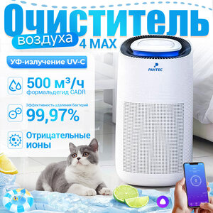 Activity Image